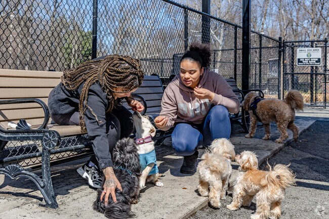 Branch Brook Park's dog park offers separate areas for large and small dogs to play safely.