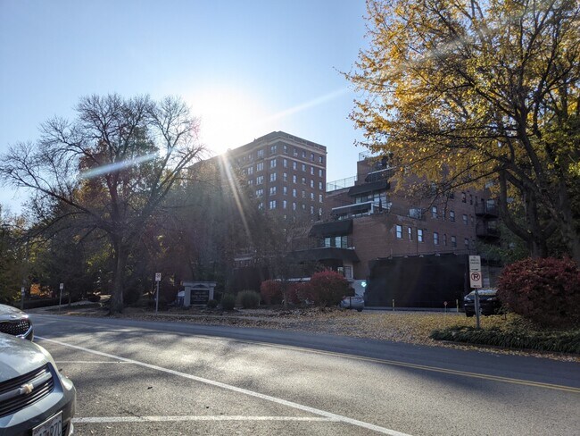 Gallery 3450, Saint Louis, MO 63104 - photo 3