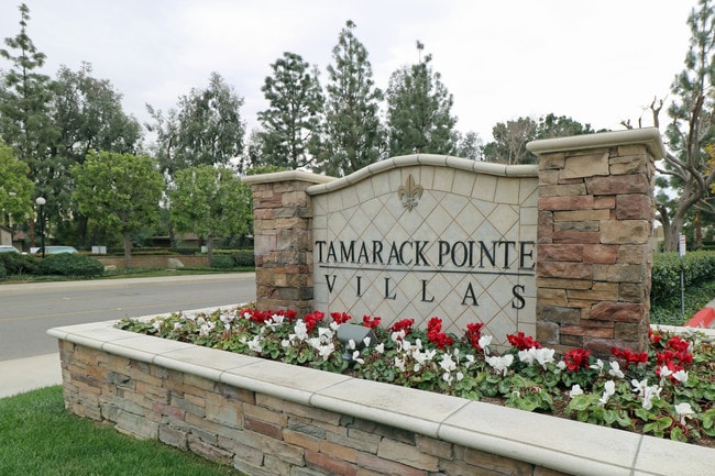 Tamarack Pointe Villas, Brea, CA 92821 - photo 3