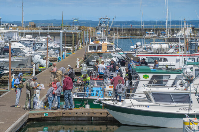 Hop on a charter boat and go fishing for the day near Cohassett Beach.