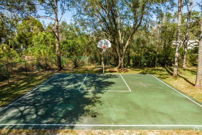 Several neighborhood basketball courts are in Arbor Greene.