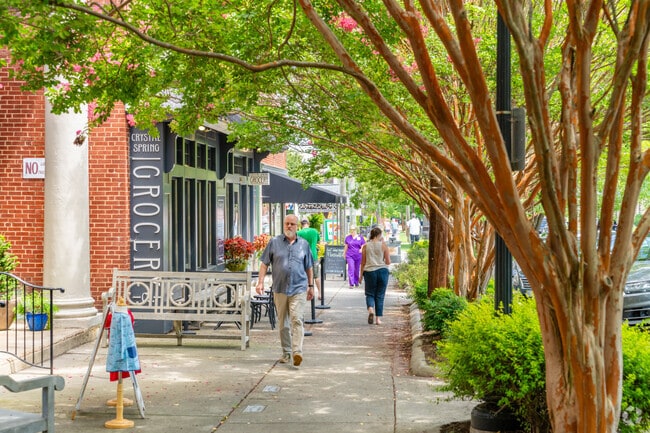 South Roanoke has some shops and businesses lined along Crystal Spring Avenue.