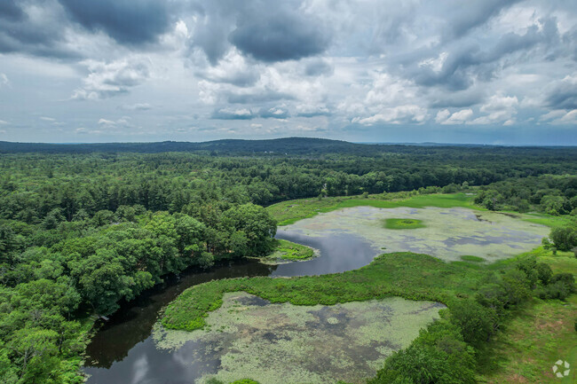 Charles River in Needham offers an abundant amount of green space.