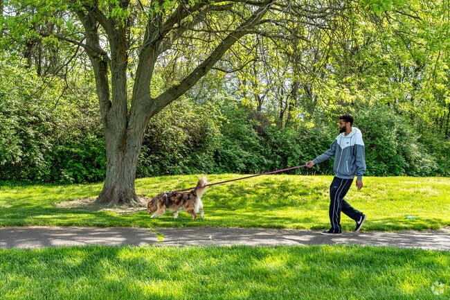 Flint Park near Wynstone is popular with dog owners.