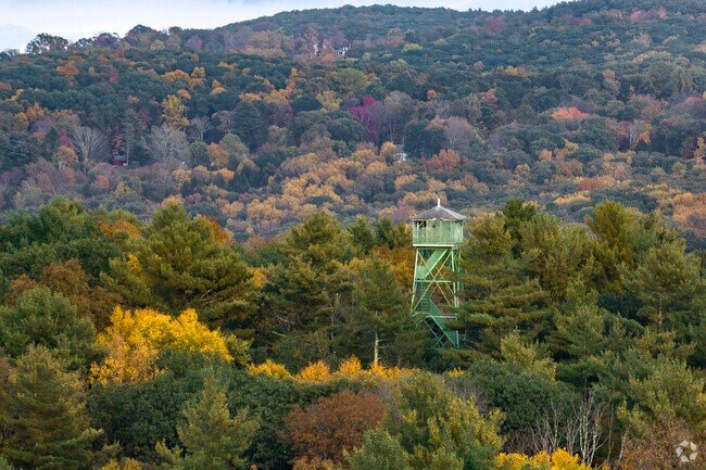 The Orenaug Park Fire Tower is a popular hike and offers 360 degree views.