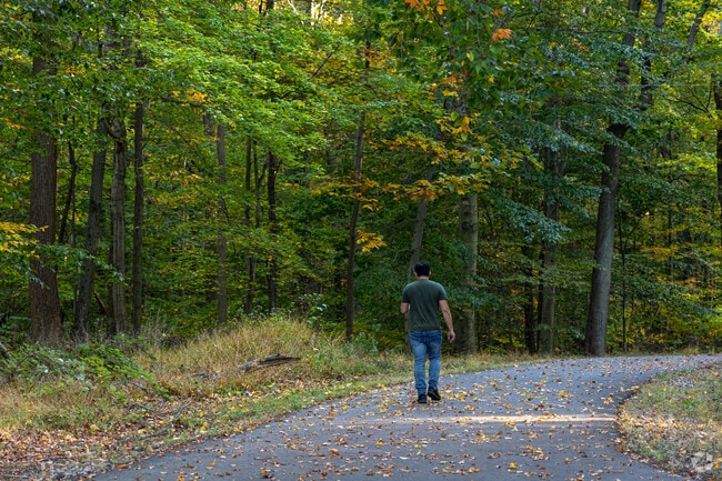 The North Mount Loretto State Forest is a perfect getaway from the everyday hustle and bustle.