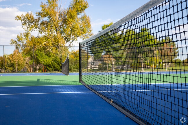 Dakota Station Park's tennis courts in Charter are well maintained.