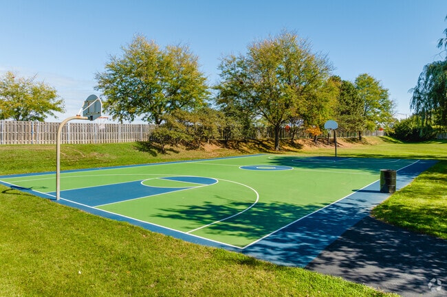 Parks in Terramere feature basketball courts and sports fields.