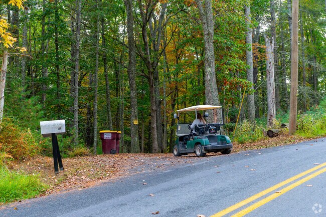 Locals like to drive golf carts around Shohola’s wooded roads.