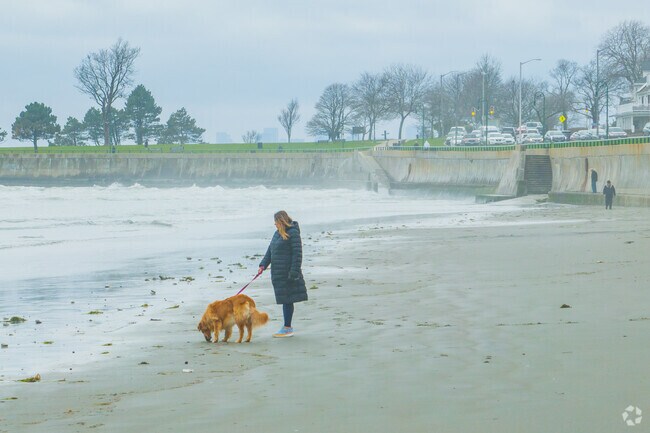 Diamond District residents love to take their dog for a walk along at the nearby Kings Beach.