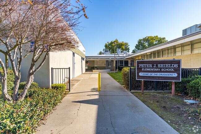 Peter J. Shields Elementary School prepare students for their future.