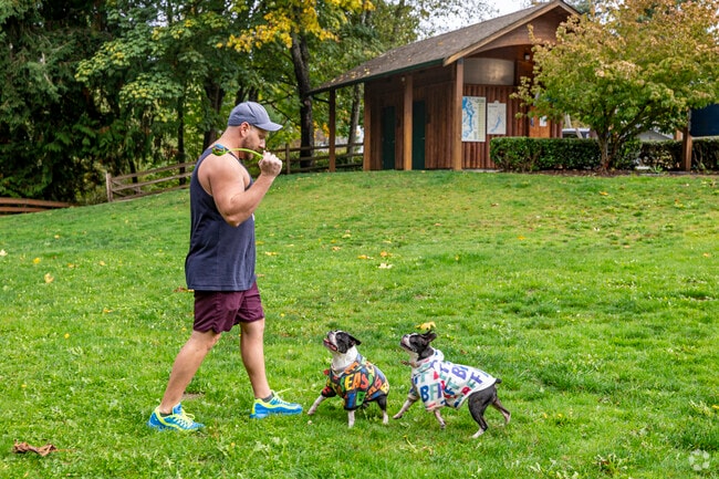 Boston's out for a fun fetch with dad at Donkey Creek Park.