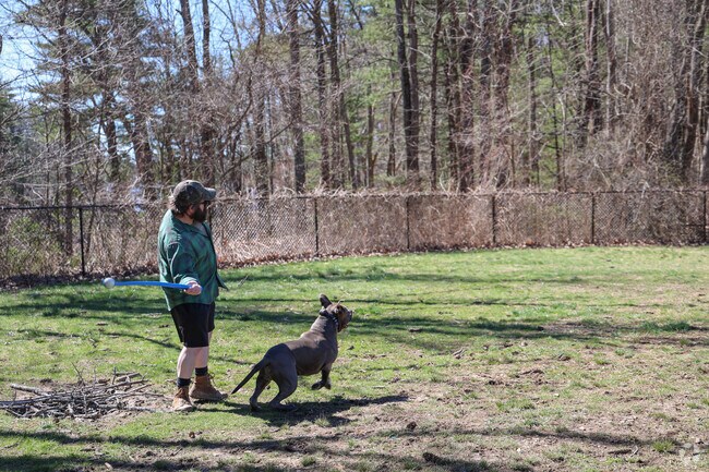 It's always a good day for a game of fetch at the dog park in South Eliot.