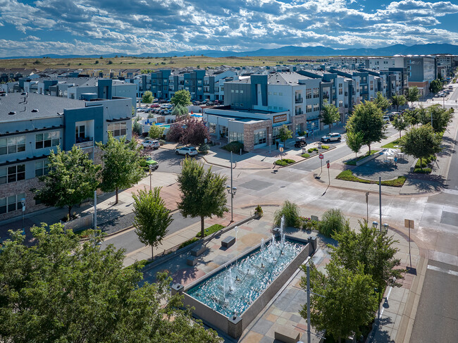 AMLI Arista Broomfield Apartments for Rent Homes