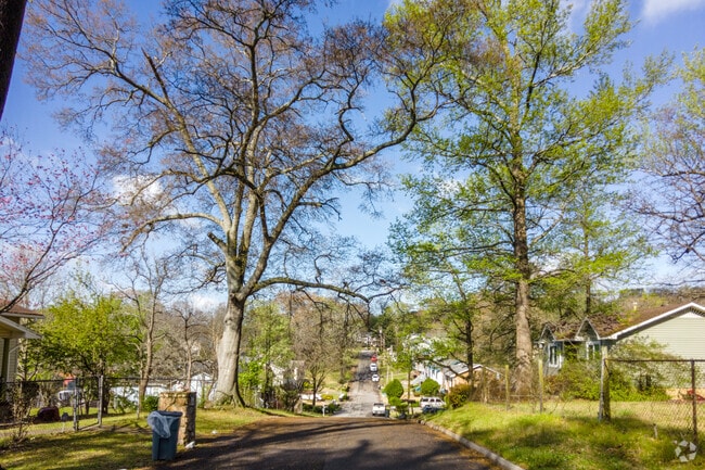 Many streets are tree-lined in the the East Lake neighborhood.