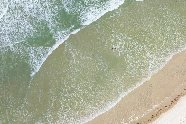 Fairway is located in New Smyrna Beach, which is known as the shark bite capital.