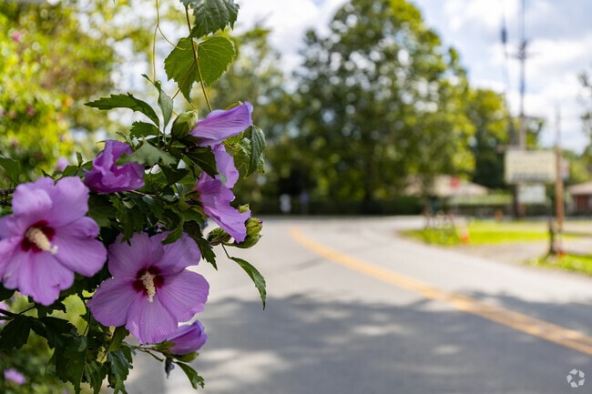 The Lincoln area is full of greenery and beauty.