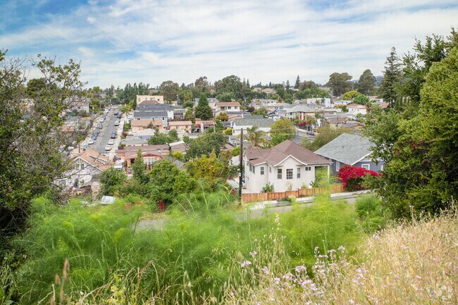 If you are looking for a great view in the Harrington neighborhood head over to Jungle Hill.