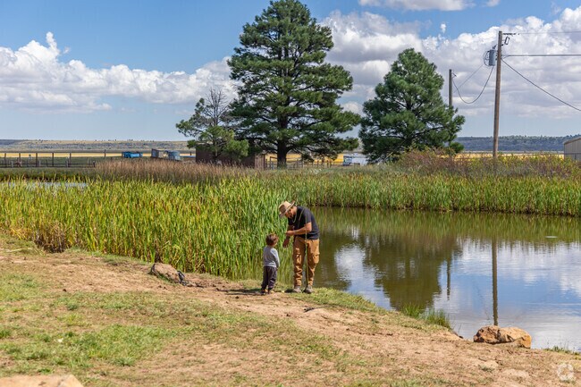 Fishing is one of the more popular things to do in Mormon Lake.