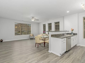 3843 S Langley Ave Unit 102, Chicago, IL 60653