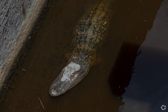 Some Old Wilmington diners may find some of the locals want to share their meal.