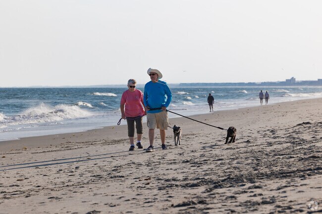 Dog‑friendly trails at Huntington Beach State Park are popular with Litchfield Beach locals.