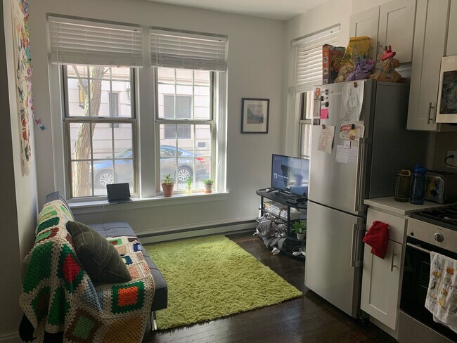 6 Clearway St unit 4, Boston, MA 02115 - photo 4