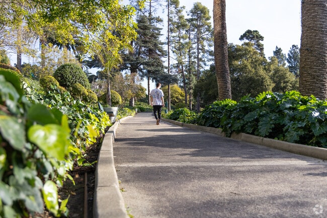 Claremont is the perfect place for an afternoon stroll, with quiet residential streets and hillside views.