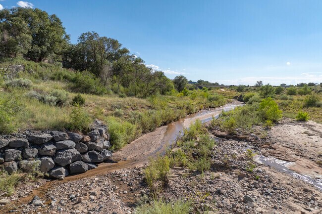A small stream in Agua Fria.