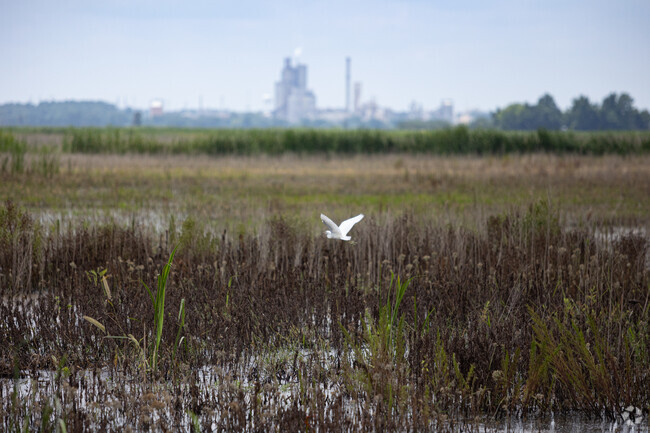 Enjoy the wildlife at Savannah National Wildlife Refuge near Port Wentworth, GA.