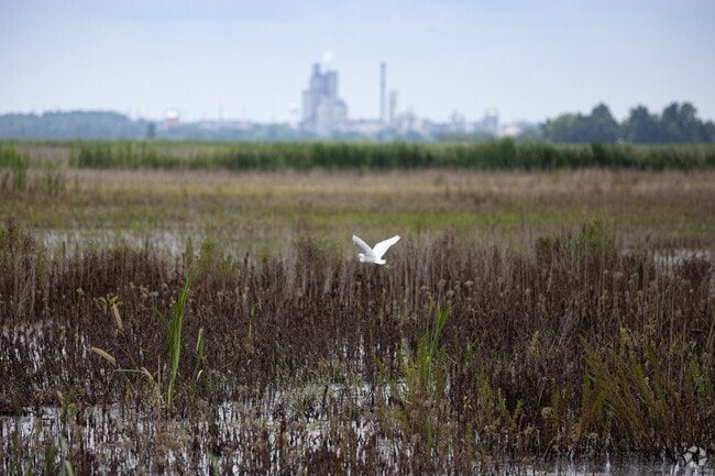 Savannah National Wildlife Refuge offers frequent wildlife sightings near Port Wentworth.