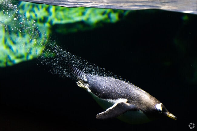 The Kansas City Zoo is a popular attraction among Noble And Gregory Ridge locals.