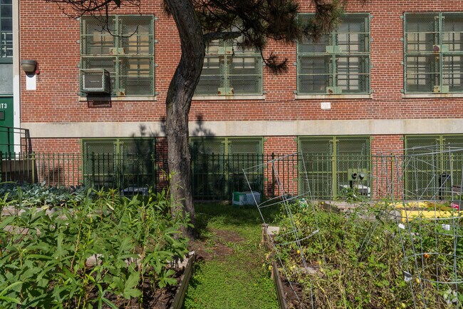 School For Inquiry And Social Justice in the Bronx has an outdoor garden.