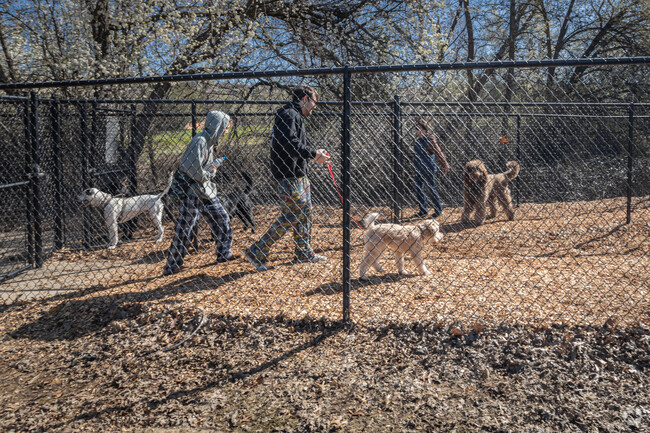 Take Spot out to socialize with other dogs at El Dorado Hills Community Dog Park.
