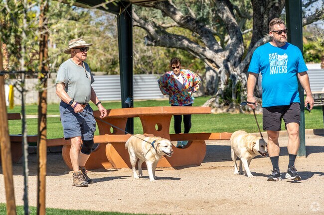 Enjoy a brisk morning walk at Victoria Park in Palm Springs.
