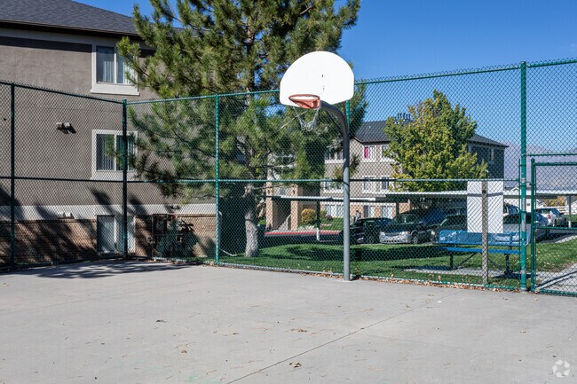 Basketball Court
