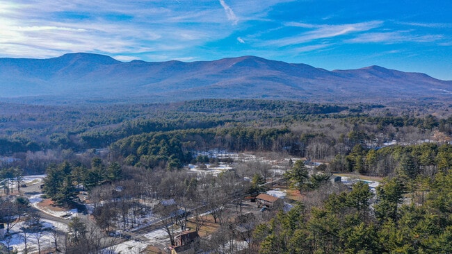 Pine Tree Garden Apartments, Cairo, NY 12413 - photo 7