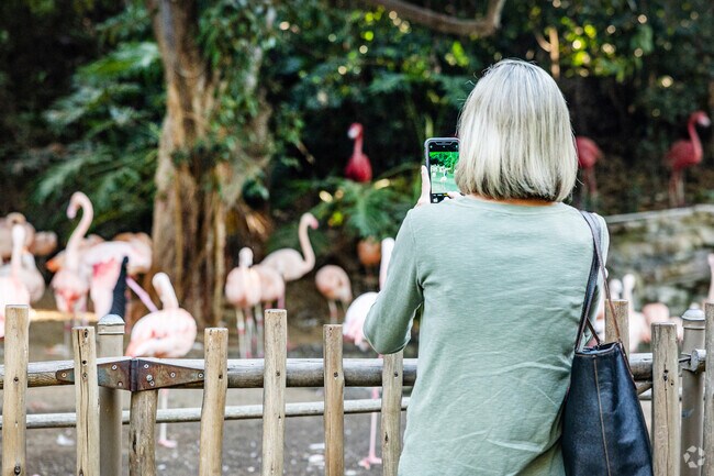 Pink flamingos are a hit among many other animals at the Los Angeles Zoo near Burbank.