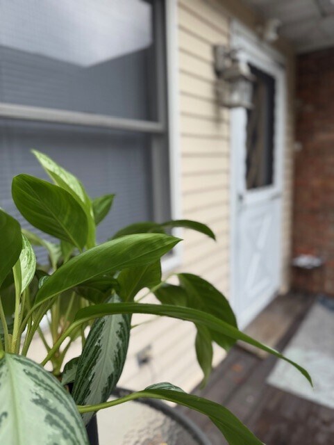 1824 Pershing Place Unit Rear, South Plainfield, NJ 07080