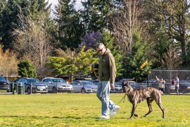 Locals train their dogs in the wide open space at Jennings Memorial Park in Marysville.