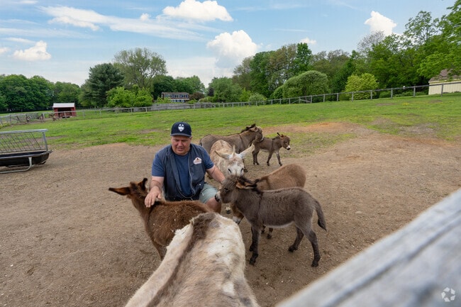 Foster Hill Farm near Union sells gifts, plants and hosts visits with friendly miniature donkeys.
