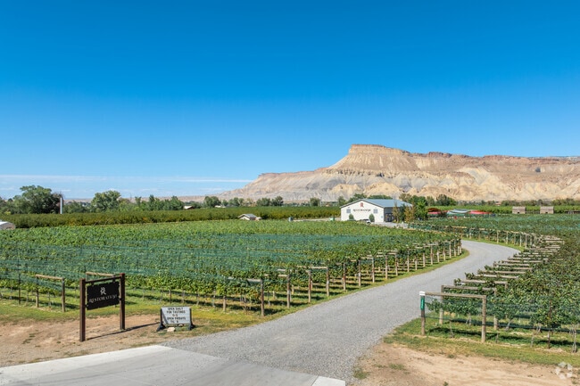 Check out the local events held at Restoration Vineyards in East Orchard Mesa.