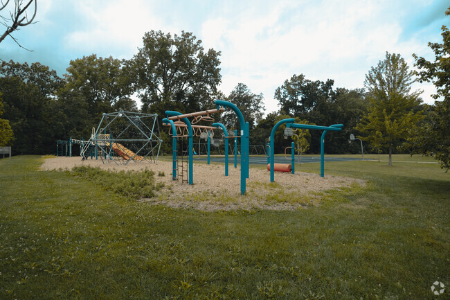 Children love the multiple play structures during recess at the Dicken Elementary School.