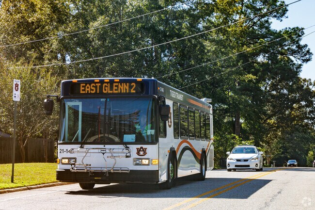 Public transport is common in Stage Road, with busses going directly to Auburn University.