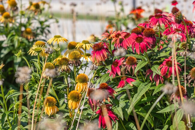 Discover beautiful gardens with fresh flowers at Anthony Wayne in Fort Wayne.