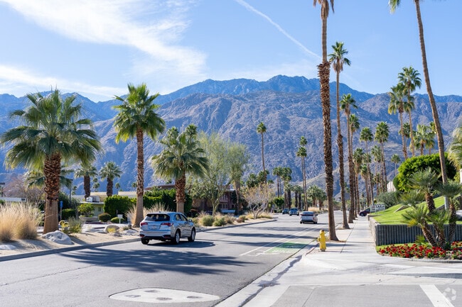 Most streets in Sunrise Park are lined with Palm Trees.