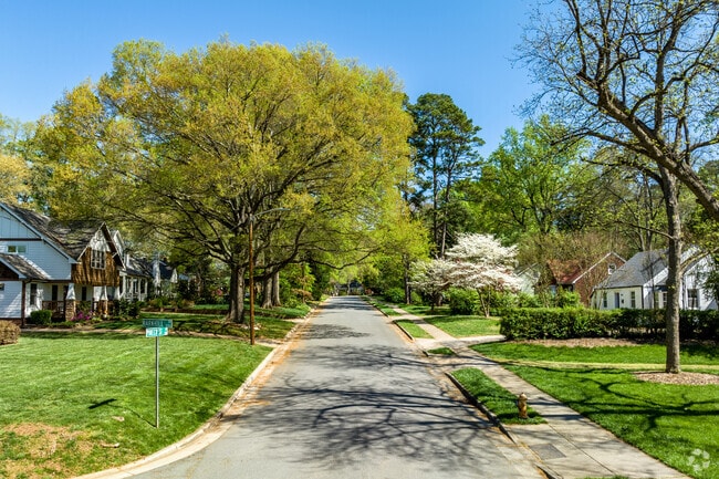Tree-lined streets bloom in spring throughout Commonwealth Park.