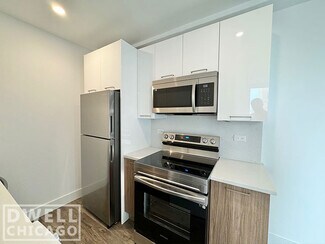 901 W Carmen Ave Unit 2, Chicago, IL 60640