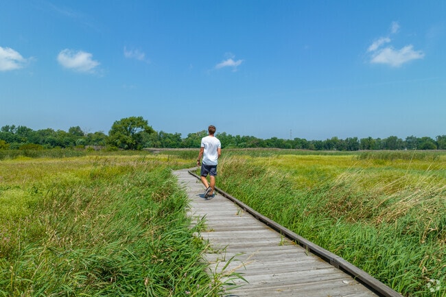 Central Park in Park Forest features vast grasslands with walkways to explore.