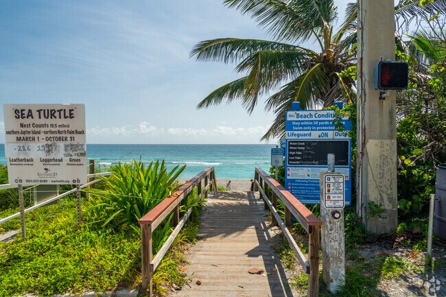 Discover a variety of inviting public beach accesses along A1A in The Bluffs.